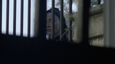 twd1010_1127.jpg