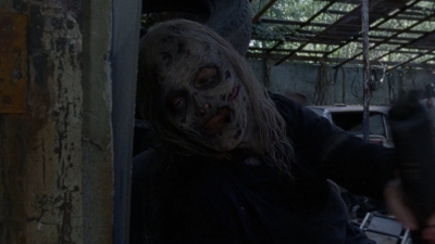 twd1010_1129.jpg