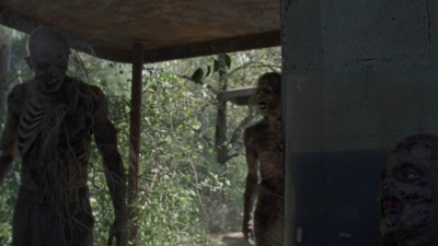 twd1010_1154.jpg