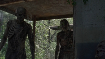 twd1010_1155.jpg