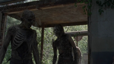 twd1010_1156.jpg