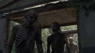 twd1010_1157.jpg