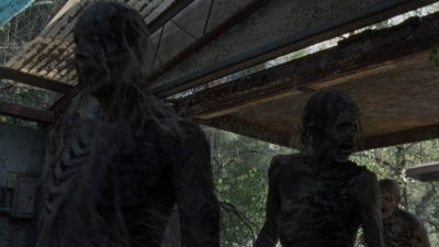 twd1010_1159.jpg