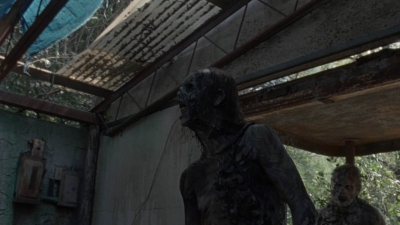 twd1010_1161.jpg
