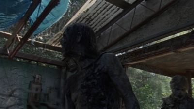 twd1010_1162.jpg