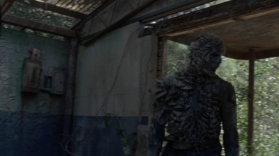 twd1010_1163.jpg