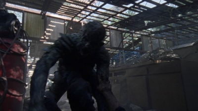 twd1010_1185.jpg