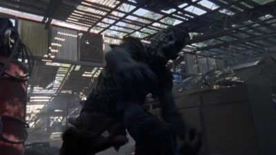 twd1010_1186.jpg