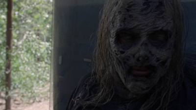 twd1010_1208.jpg