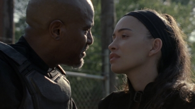 twd1010_1314.jpg