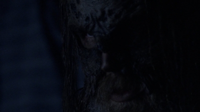 twd1010_1536.jpg