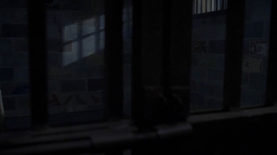twd1010_1602.jpg