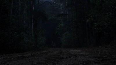 twd1010_1898.jpg
