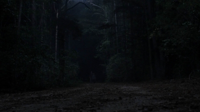 twd1010_1899.jpg