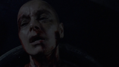 twd1010_1981.jpg