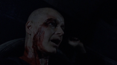 twd1010_2013.jpg