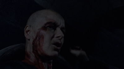 twd1010_2014.jpg