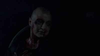 twd1010_2070.jpg