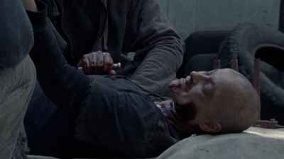 twd1010_2608.jpg