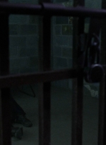 twd1010_0393.jpg