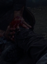 twd1010_1198.jpg