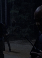 twd1010_1504.jpg