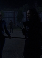 twd1010_1507.jpg