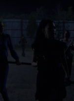 twd1010_1508.jpg