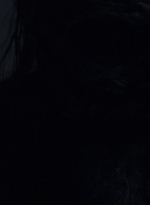 twd1010_1584.jpg