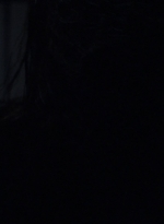 twd1010_1585.jpg