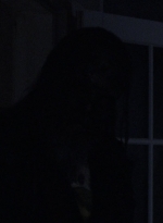 twd1010_1590.jpg