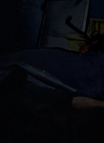 twd1010_2009.jpg