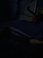 twd1010_2010.jpg