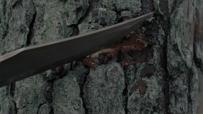 twd1011_0002.jpg
