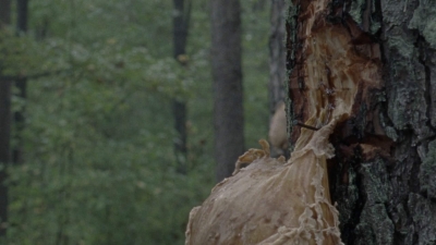 twd1011_0017.jpg