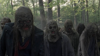 twd1011_0113.jpg