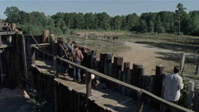 twd1011_0340.jpg