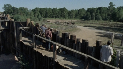 twd1011_0341.jpg