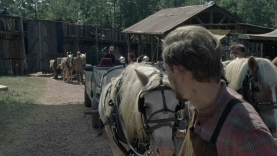 twd1011_0424.jpg