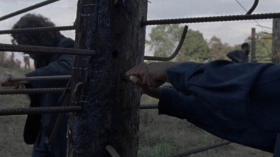 twd1011_1659.jpg