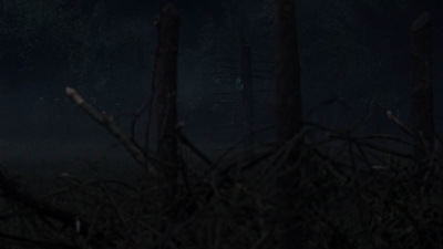 twd1011_2363.jpg