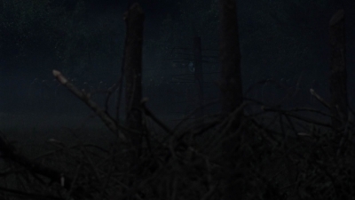twd1011_2364.jpg