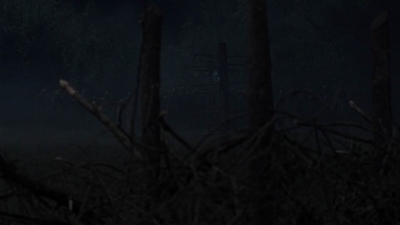 twd1011_2366.jpg