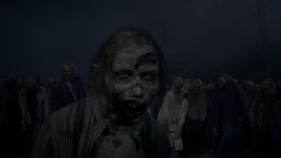 twd1011_2411.jpg