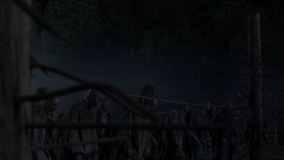 twd1011_2423.jpg