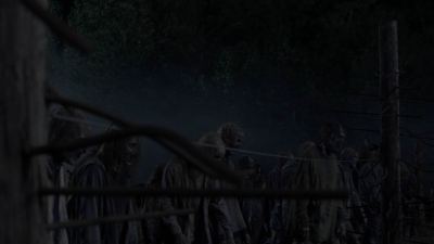 twd1011_2425.jpg