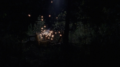 twd1011_2448.jpg