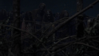 twd1011_2491.jpg
