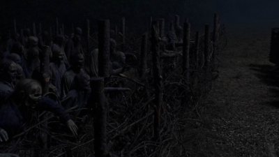 twd1011_2509.jpg