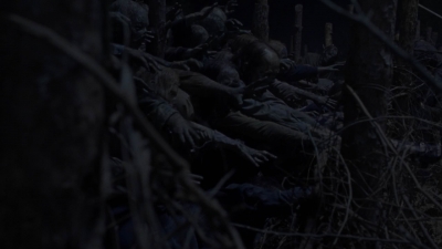 twd1011_2567.jpg